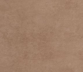 Обои BN International Curious (17919) виниловые на флизе 